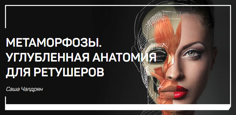 Метаморфозы. Углубленная анатомия для ретушеров (2_0.jpg